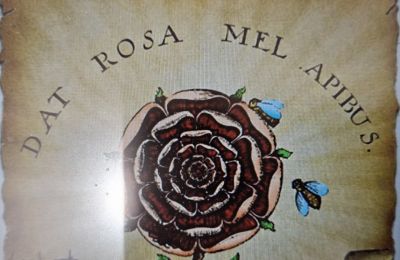 Κατηγορίες συνδρομής και ειδικές τιμές παρατηρούνται στο πρόγραμμα διδασκαλίας των υποψήφιων μελών των Ροδόσταυρων.