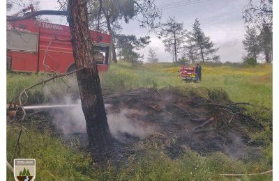 Δασικές πυρκαγιές από πτώσεις κεραυνών