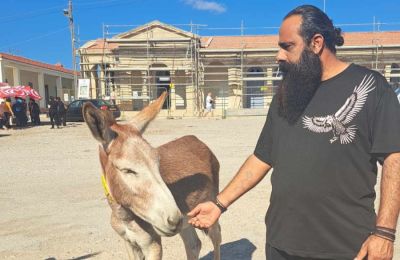 Ο Πέτρος Πέτρου (Αετός) υπενθύμισε στους followers του μια από τις πιο ριψοκίνδυνες ενέργειές του με δηλητηριώδες φίδι και το βίντεο έγινε viral