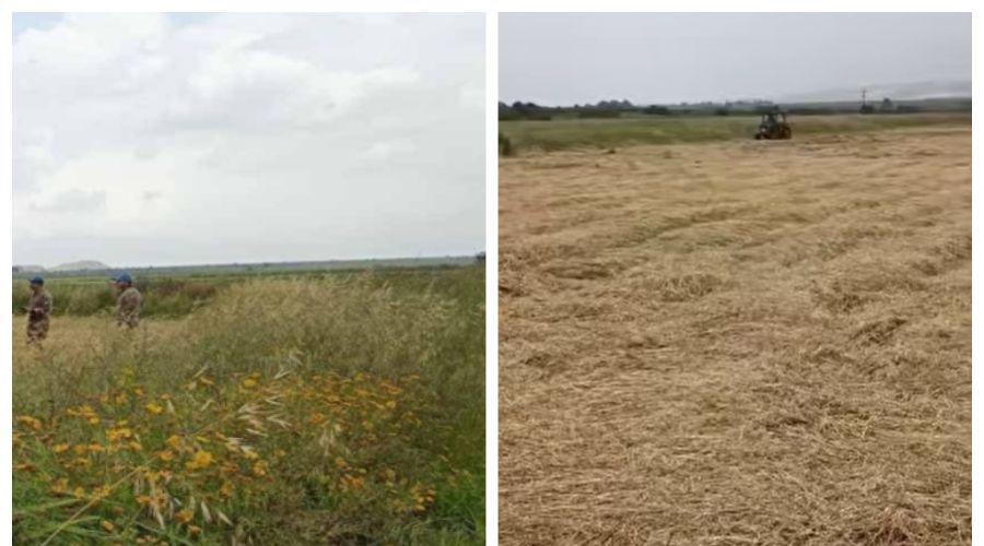 Παραβίαση της νεκρής ζώνης στην Αυλώνα–Τούρκος θερίζει χωράφι (ΒΙΝΤΕΟ)