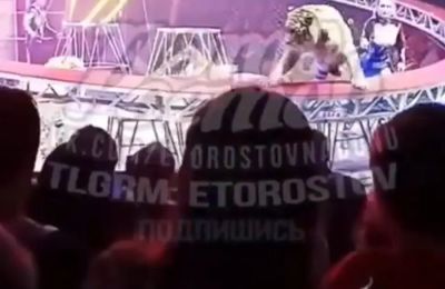 Τίγρης σε τσίρκο στη Ρωσία πλησίασε το κοινό, προκαλώντας του αναστάτωση.