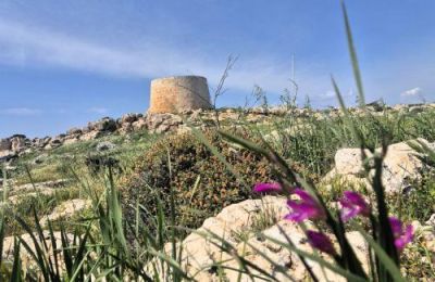 Φέτος το Κοινοτικό Συμβούλιο προγραμματίζει το Φεστιβάλ Πατάτας για τις 9 Σεπτεμβρίου.