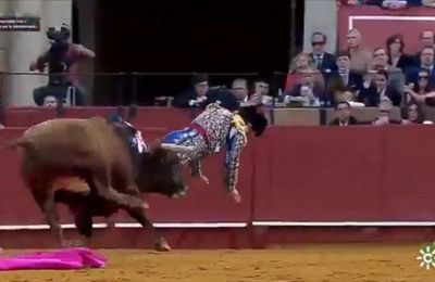 Σοβαρός τραυματισμός ταυρομάχου στη Σεβίλλη (vid)