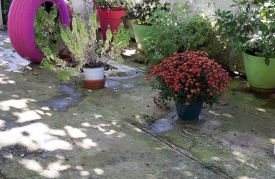 Τι φοβούνται τα φίδια: 5 τρόποι να τα απομακρύνεις από τον κήπο