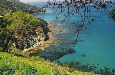 Τα ευρήματα του ελέγχου της Ελεγκτικής Υπηρεσίας θα περιληφθούν σε Ειδική Έκθεση.