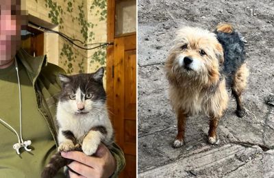 Ουκρανία: Διέσωσαν γάτα και σκύλο με drone από πρώτη γραμμή πολέμου