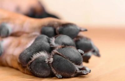 «Φτάνει πια η ατιμωρησία. Η κοινωνία δεν θα ανεχτεί άλλη αδράνεια», σημειώνει το Κίνημα στην ανακοίνωσή του.