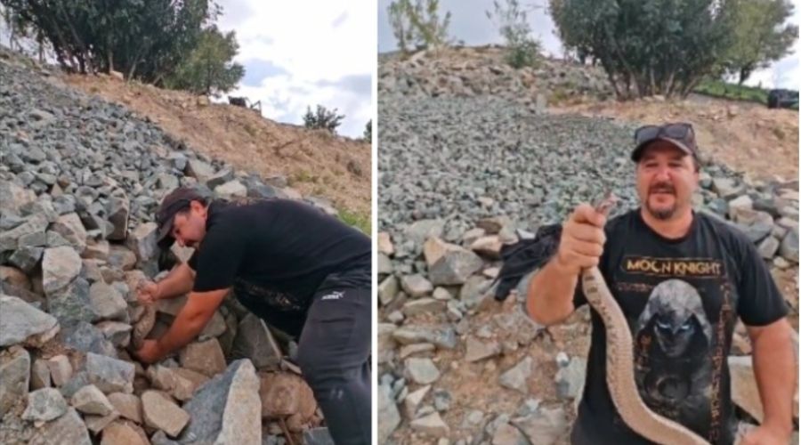 Μετά από αρκετά λεπτά μετακίνησης πετρών, ο Γιάννης Αγγελή εντόπισε τη φίνα και την ξετρύπωσε