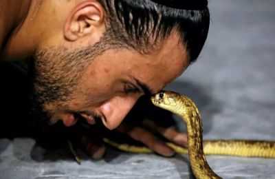 Τουρίστας πέθανε από δάγκωμα φιδιού στην Αίγυπτο.