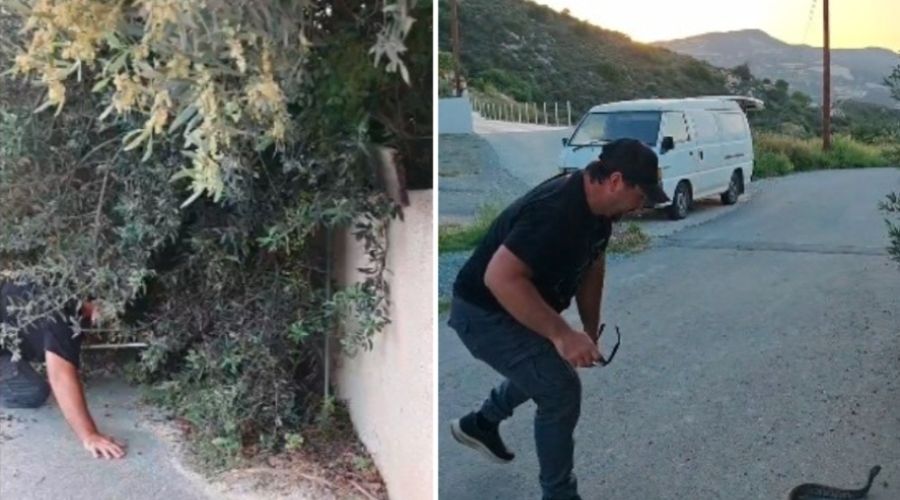 Ακόμη ένας εντοπισμός φίνας σε οικιστική περιοχή και σε σημείο που αναδεικνύει την ανάγκη για προληπτικό καθαρισμό