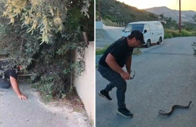 Ακόμη ένας εντοπισμός φίνας σε οικιστική περιοχή και σε σημείο που αναδεικνύει την ανάγκη για προληπτικό καθαρισμό