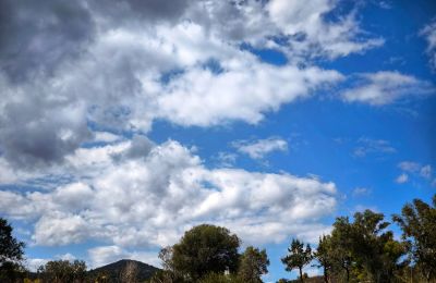 Η θερμοκρασία θα ανέλθει στους 29 βαθμούς στο εσωτερικό, στους 23 στα δυτικά παράλια, γύρω στους 24 στα υπόλοιπα παράλια και στους 18 βαθμούς στα ψηλότερα ορεινά.