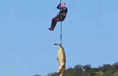 Οι Αρχές ανέσυραν κροκόδειλο που σκότωσε επιχειρηματία στη Νότια Αφρική.