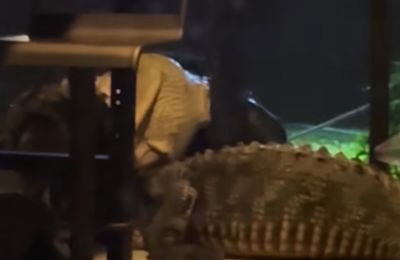 Τρόμος για γυναίκα στην Φλόριντα