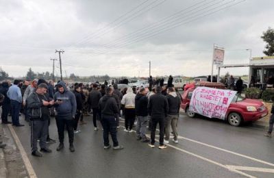 «Θάβουν τα ζώα χωρίς πρωτόκολλα. Έχει δίκαιο ο κόσμος που φωνάζει», δήλωσε η Στέλλα Πέτρου.