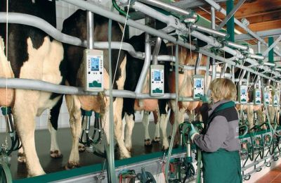 Η απόφαση για την οικονομική στήριξη προς τους κτηνοτρόφους, ξεπερνά κατά 150-200% τα αντίστοιχα ευρωπαϊκά επίπεδα, δήλωσε ο ΠτΔ.