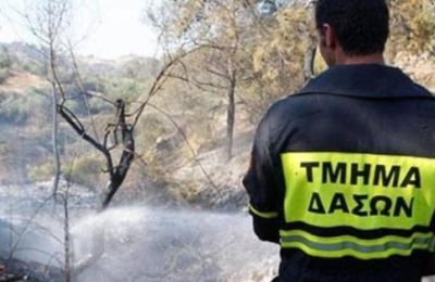Σε 48ωρη απεργία κατέρχονται οι Δασοπυροσβέστες