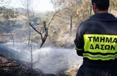 Πυρκαγιά έθεσε σε κίνδυνο το κρατικό δάσος Λυθροδόντα