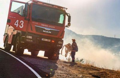 Άναμμα φωτιάς σε κρατικό δάσος- Επισύρει ποινή φυλάκισης 