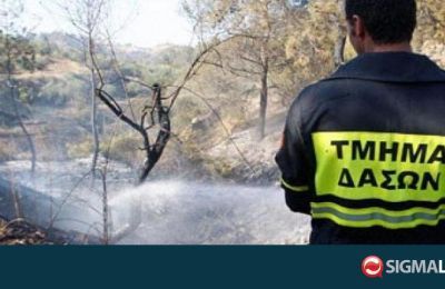 Τα αίτια της πυρκαγιάς διερευνώνται.