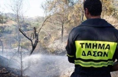 Ξέσπασε πυρκαγιά από κεραυνό στην Φλάσου