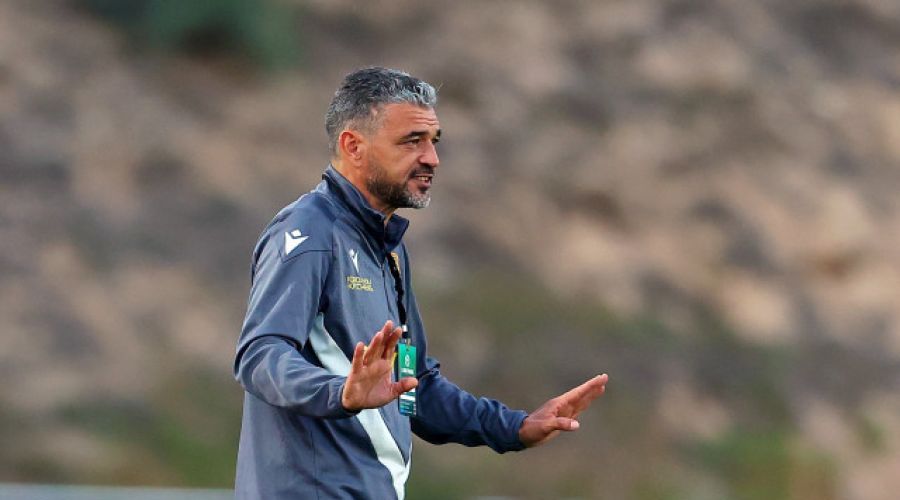ΑΕΛ: Ανάγκη από ποιότητα, αλλά και... βάθος