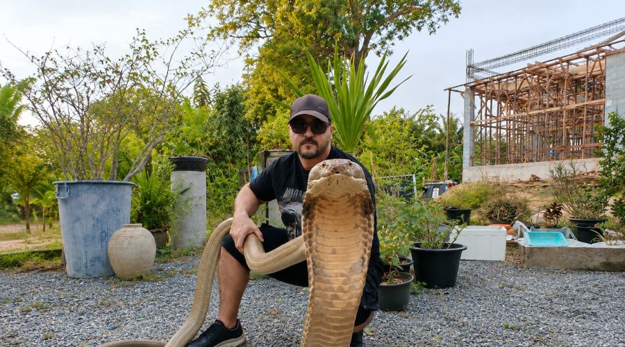 «Εμείς μπήκαμε στους χώρους των φιδιών και όχι εκείνα στους δικούς μας» - Έγινε γνωστός και κάνει διασώσεις μέχρι και στην Ταϊλάνδη.
