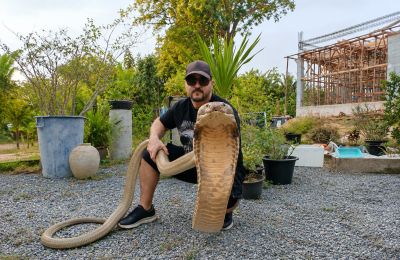 «Εμείς μπήκαμε στους χώρους των φιδιών και όχι εκείνα στους δικούς μας» - Έγινε γνωστός και κάνει διασώσεις μέχρι και στην Ταϊλάνδη.