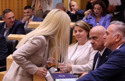 Τα περιβόητα βίντεο του Φειδία Παναγιώτου έγιναν αντικείμενο συζήτησης κατά πόσο είχαν τεθεί ως μία από τις προϋποθέσεις για τις ψήφους της Άμεσης Δημοκρατίας