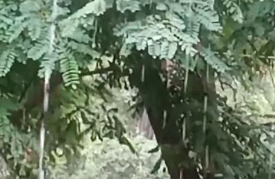 Άνοιξαν οι ουρανοί- Βροχές σε αρκετές περιοχές (ΒΙΝΤΕΟ)