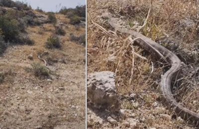 Μεγάλη φίνα -ευτυχώς- έγινε αντιληπτή εγκαίρως και από απόσταση ασφαλείας