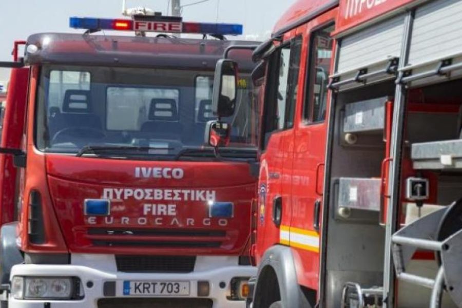 &Sigma;&tau;&eta;&nu; &kappa;&alpha;&tau;ά&sigma;&beta;&epsilon;&sigma;&eta; &pi;&upsilon;&rho;&kappa;&alpha;&gamma;&iota;ά&sigmaf; &epsilon;&nu;&tau;ό&sigmaf; &nu;&epsilon;&kappa;&rho;ή&sigmaf; &zeta;ώ&nu;&eta;&sigmaf; &sigma;&upsilon;&nu;έ&delta;&rho;&alpha;&mu;&epsilon; &eta; &Pi;&upsilon;&rho;&omicron;&sigma;&beta;&epsilon;&sigma;&tau;&iota;&kappa;ή