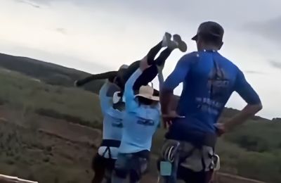 Η νεαρή φαίνεται να βρήκε ακαριαίο θάνατο κάνοντας ελεύθερη πτώση 