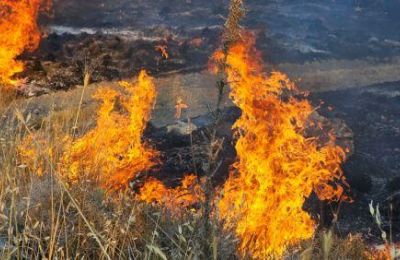 Άμεση επέμβαση της Πυροσβεστικής απέτρεψε μεγαλύτερη εξάπλωση.