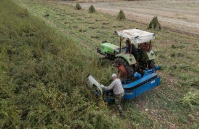 Είναι εγγεγραμμένα περίπου 7.700 φυσικά και νομικά πρόσωπα, μεταξύ των οποίων περίπου 2.000 επαγγελματίες γεωργοί.
