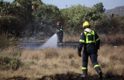 Η φωτιά ξεκίνησε από καύση σκουπιδιών σε παράνομο σκυβαλότοπο και επεκτάθηκε σε ξηρά χόρτα, προκαλώντας ζημιές στην περιοχή.