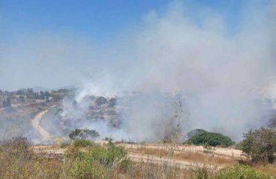 Η έγκαιρη επέμβαση των πυροσβεστικών δυνάμεων περιόρισε γρήγορα τη φωτιά στα όρια του Δήμου Πέγειας.