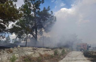 Έξι μέλη του Τμήματος Δασών και δύο πυροσβέστες συμμετείχαν στην επιχείρηση κατάσβεσης της φωτιάς που ξέσπασε το απόγευμα της Τρίτης.