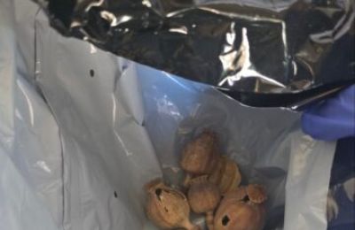 Ο ύποπτος τελεί υπό κράτηση μετά από απόφαση του Επαρχιακού Δικαστηρίου Πάφου.