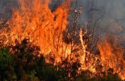 Η πυρκαγιά τέθηκε υπό πλήρη έλεγχο.