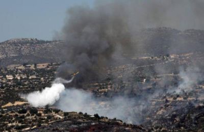 Το Τμήμα Δασών έκαψε έκταση 3 δεκαρίων με πεύκα και άγρια θαμνώδη βλάστηση.