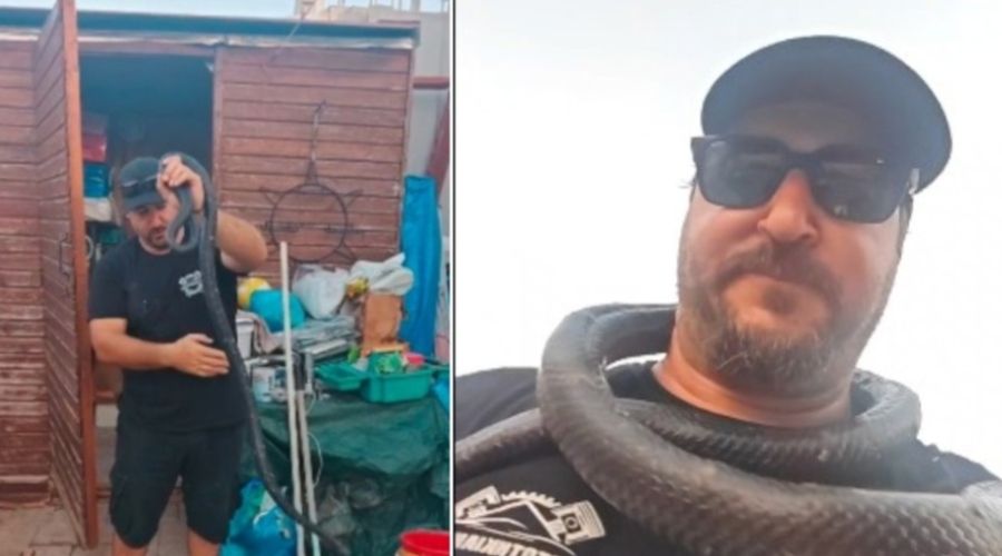 Εντυπωσιάζει η ψυχραιμία που διακρίνει τον Γιάννη Αγγελή κάθε φορά που ξετρυπώνει ένα φίδι