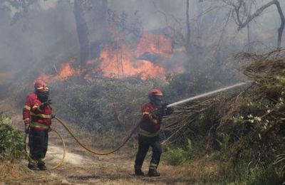 Οι πυρκαγιές, που ευνοούνται από την ξηρασία και τις υψηλές θερμοκρασίες, έχουν προκαλέσει εκτεταμένες ζημιές σε δασικές εκτάσεις.