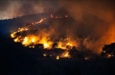 Οι Αρχές διερευνούν τα αίτια της φωτιάς, ενώ μαρτυρίες κάνουν λόγο για πιθανή ανάφλεξη μετά από πτώση καλωδίου ηλεκτροδότησης.