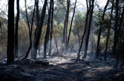 Υπάρχουν έντεκα πτητικά μέσα και των βάσεων στην Κύπρο.
