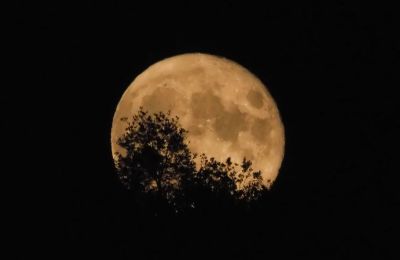 Η ονομασία «Buck Moon» συνδέεται με την ανάπτυξη των νέων κεράτων των ελαφιών.
