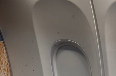 Το περιστατικό προκάλεσε πολύωρη καθυστέρηση της πτήσης.