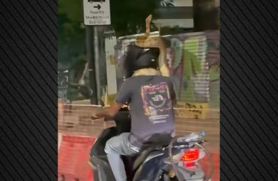 Μοτοσικλετιστής οδηγεί με τεράστιο φίδι στον λαιμό του (ΒΙΝΤΕΟ)
