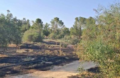 Πυρκαγιά στο Εθνικό Δασικό Πάρκο «Παιδαγωγικής Ακαδημίας» (ΦΩΤΟ)
