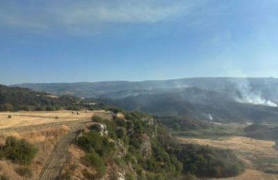 Σε επιφυλακή το Τμήμα Δασών για αναζωπυρώσεις